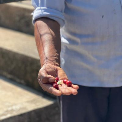 Grano manos 2