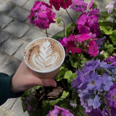 Mountain Kaffee Galeria Cafe 2 flores